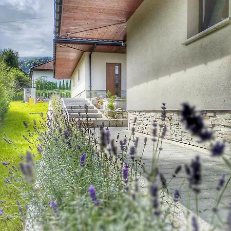 Apartament Miodomki *